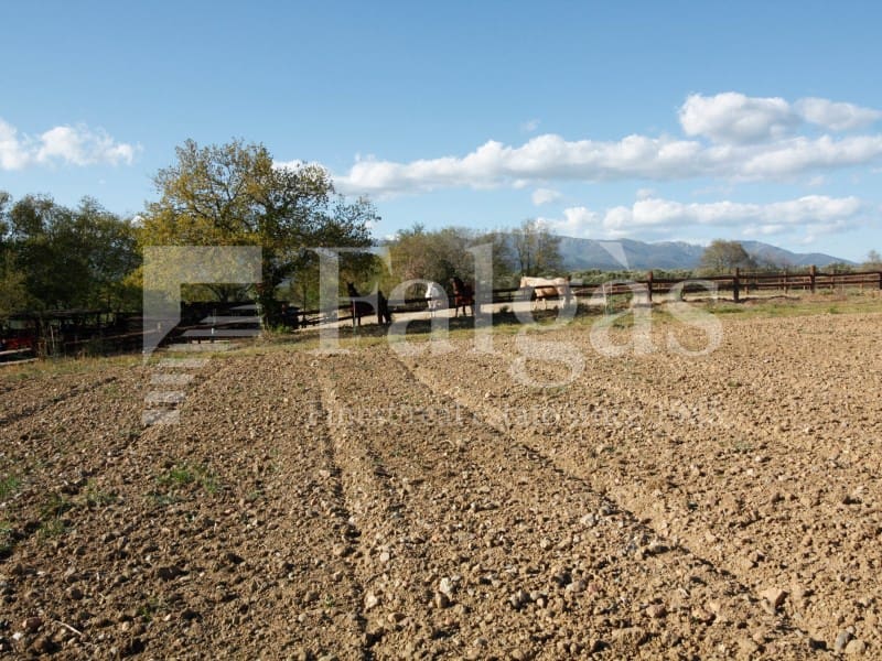 3 soveværelse Finca/Landehus til salg i Masarac - € 975.000 (Ref: 9192933)