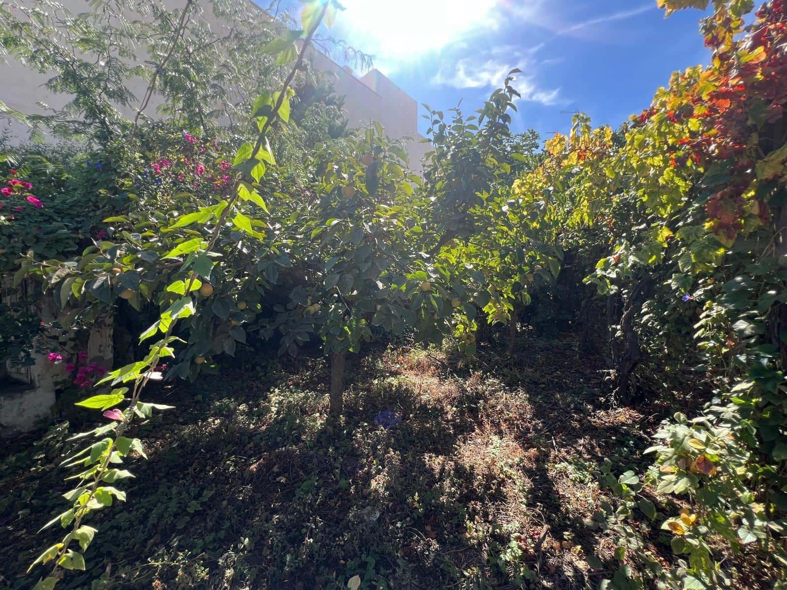 4 slaapkamer Huis te koop in Alhama de Almeria - € 429.900 (Ref: 9227459)