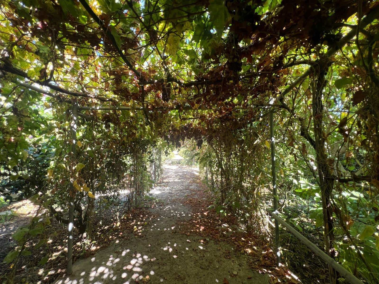 4 slaapkamer Huis te koop in Alhama de Almeria - € 429.900 (Ref: 9227459)