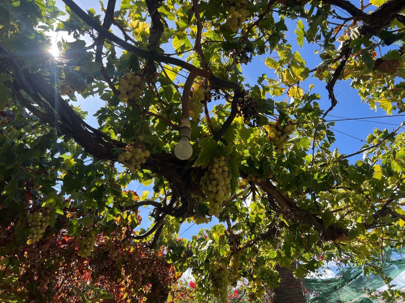 4 slaapkamer Huis te koop in Alhama de Almeria - € 429.900 (Ref: 9227459)