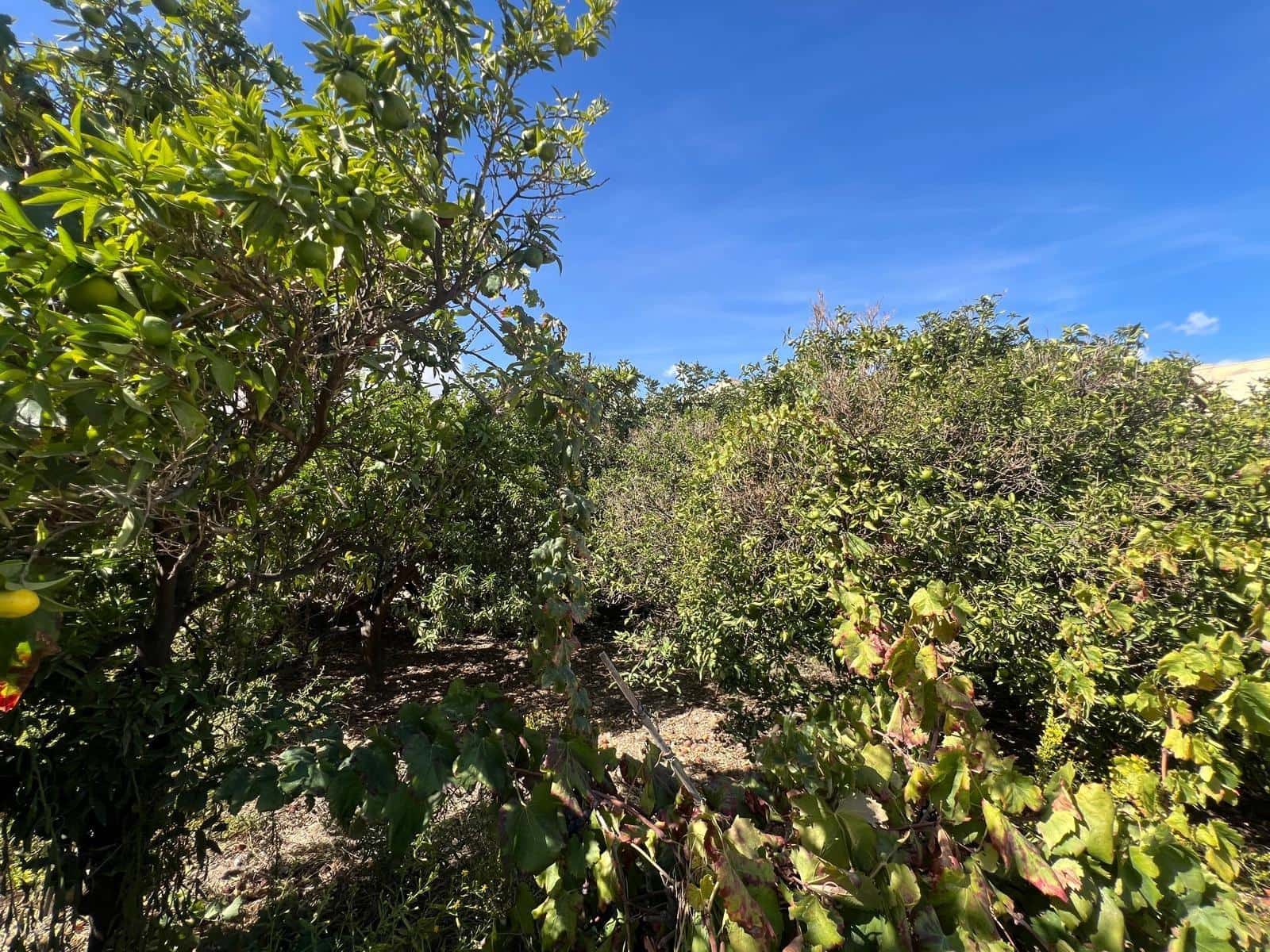 4 slaapkamer Huis te koop in Alhama de Almeria - € 429.900 (Ref: 9227459)