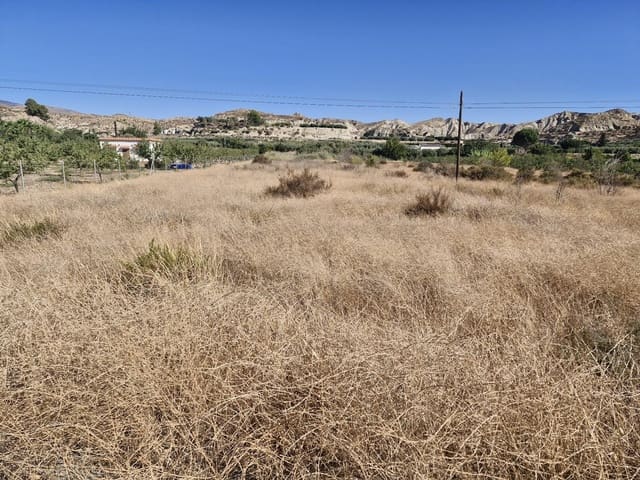 Undeveloped Land for sale in Terque - € 23,000 (Ref: 9233040)