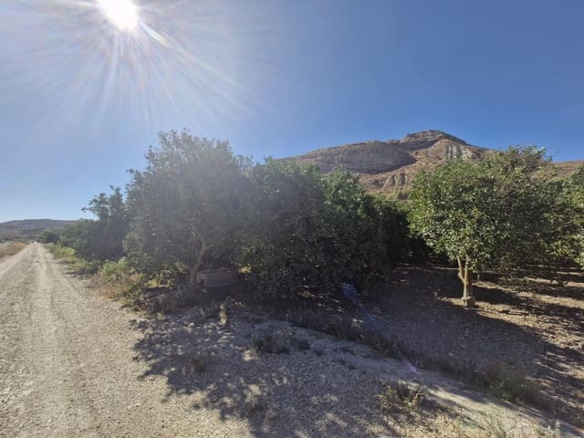 Undeveloped Land for sale in Terque - € 28,000 (Ref: 9233041)