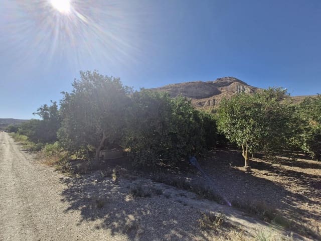 Undeveloped Land for sale in Terque - € 28,000 (Ref: 9233041)