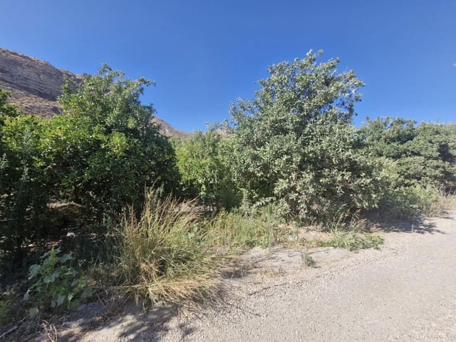 Undeveloped Land for sale in Terque - € 28,000 (Ref: 9233041)