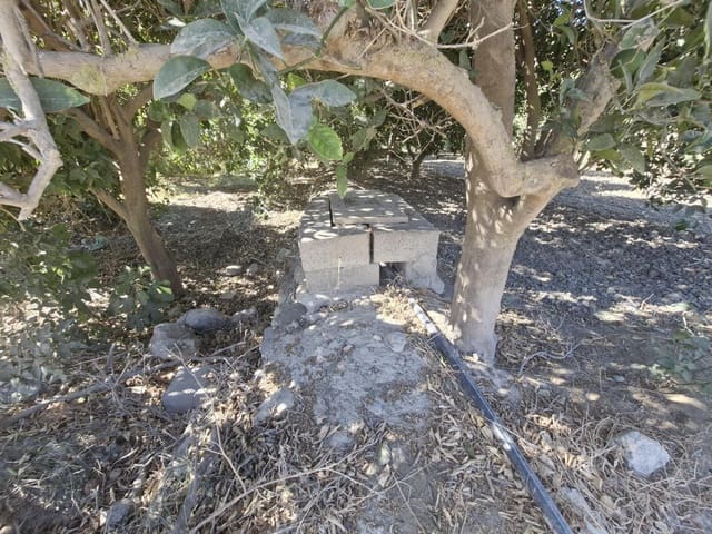 Undeveloped Land for sale in Terque - € 28,000 (Ref: 9233041)