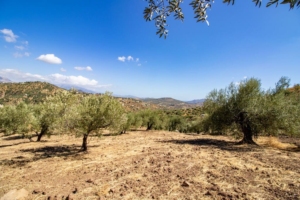 1 chambre Finca/Maison de Campagne à vendre à Riogordo - 65 000 € (Ref: 10099754)
