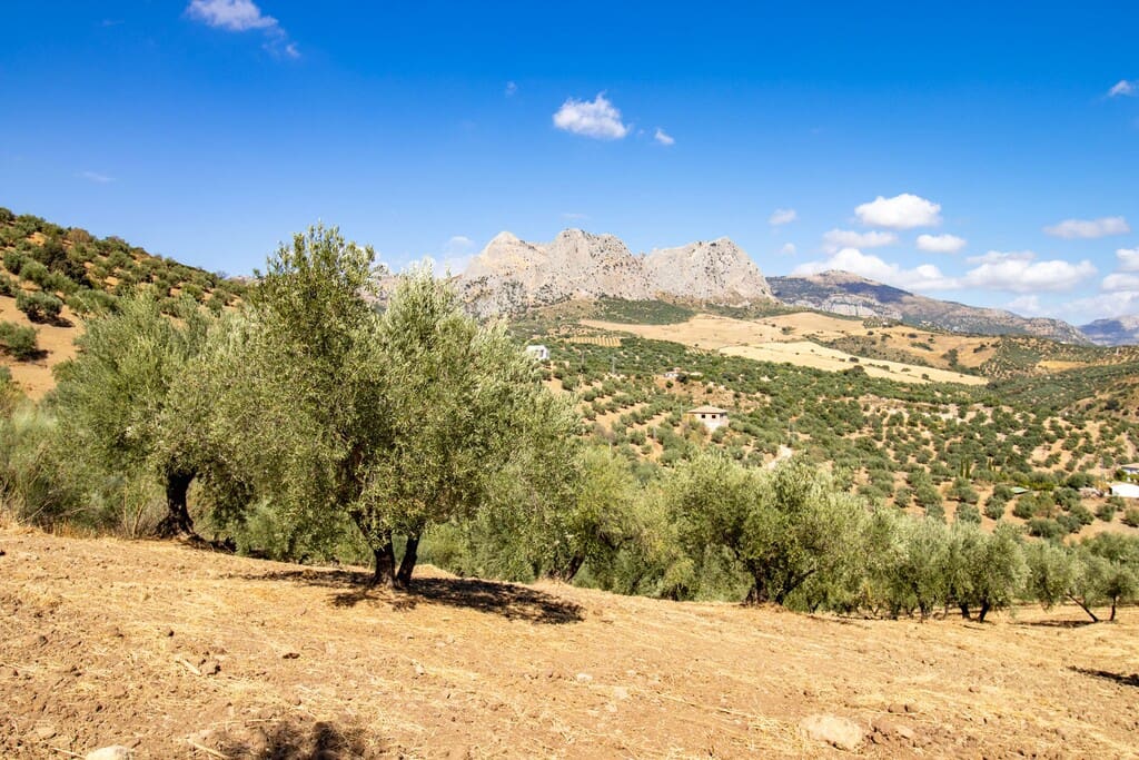 1 chambre Finca/Maison de Campagne à vendre à Riogordo - 65 000 € (Ref: 10099754)