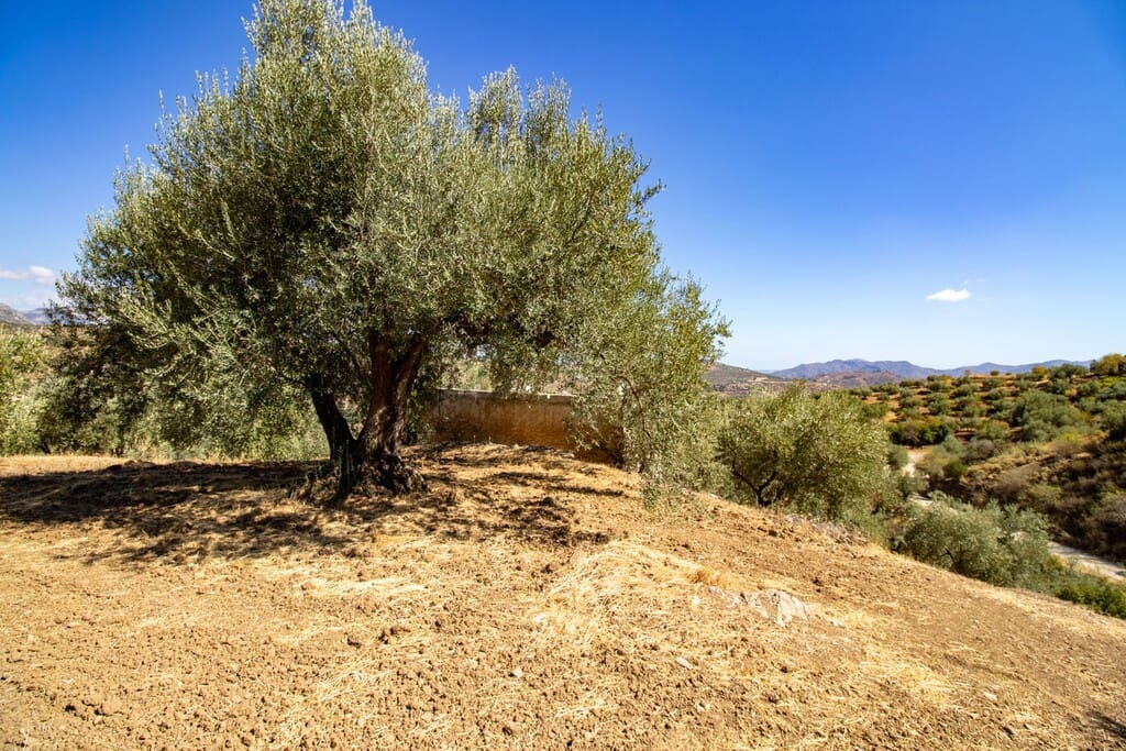 1 chambre Finca/Maison de Campagne à vendre à Riogordo - 65 000 € (Ref: 10099754)