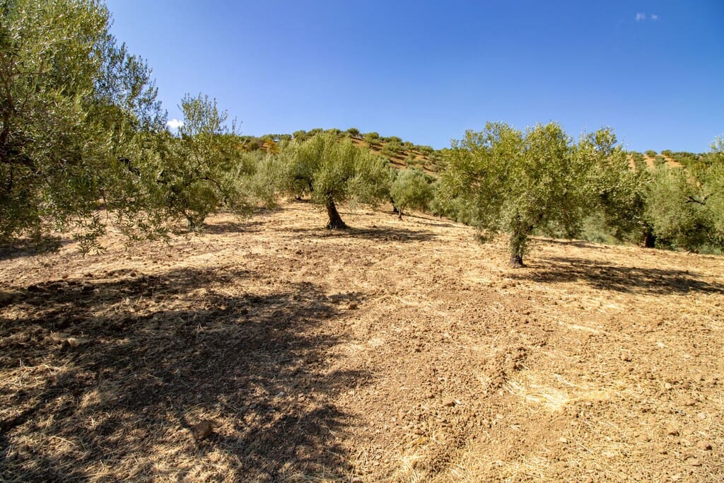 1 chambre Finca/Maison de Campagne à vendre à Riogordo - 65 000 € (Ref: 10099754)