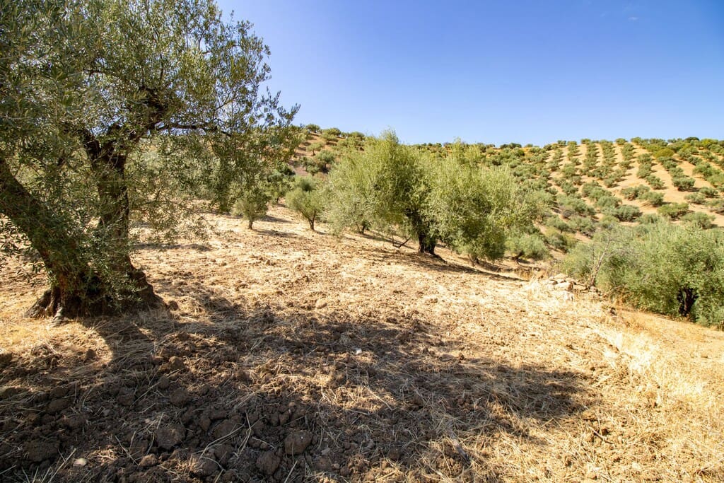 1 chambre Finca/Maison de Campagne à vendre à Riogordo - 65 000 € (Ref: 10099754)