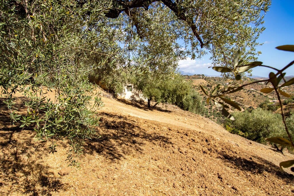 1 chambre Finca/Maison de Campagne à vendre à Riogordo - 65 000 € (Ref: 10099754)