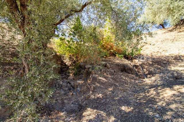 1 chambre Finca/Maison de Campagne à vendre à Riogordo - 65 000 € (Ref: 10099754)