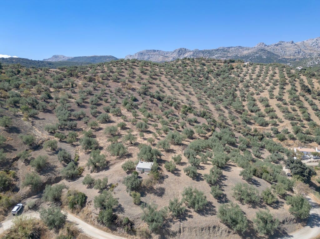 1 chambre Finca/Maison de Campagne à vendre à Riogordo - 65 000 € (Ref: 10099754)