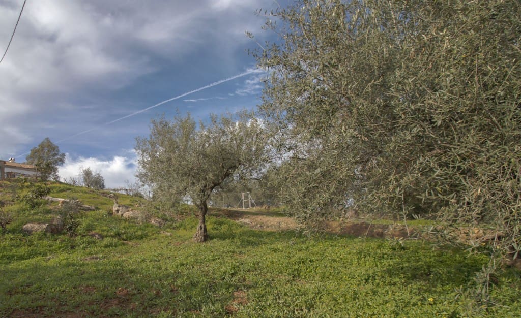 4 soveværelse Finca/Landehus til salg i Riogordo - € 330.000 (Ref: 9850321)