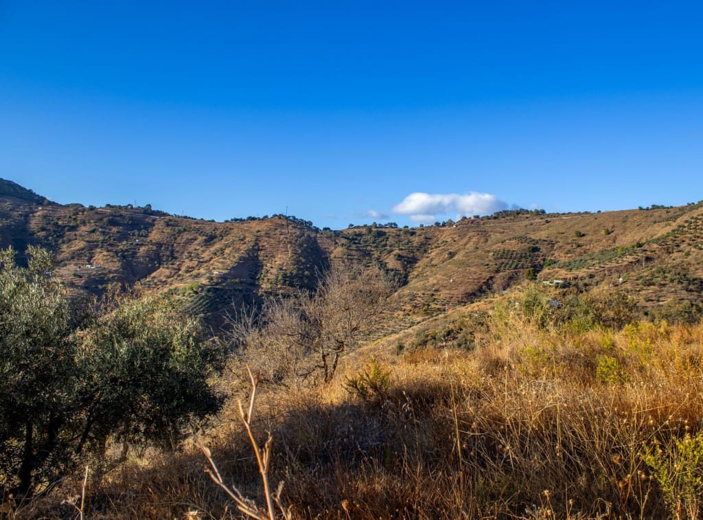 5 Zimmer Finca/Landgut zu verkaufen in Malaga Stadt mit Pool - 850.000 € (Ref: 9850327)