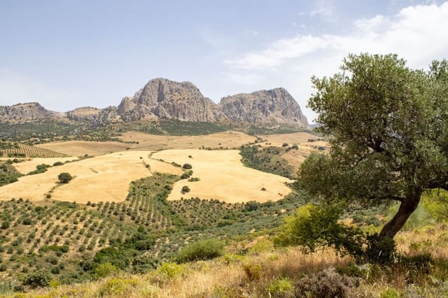 Building Plot for sale in Riogordo - € 245,000 (Ref: 9998146)