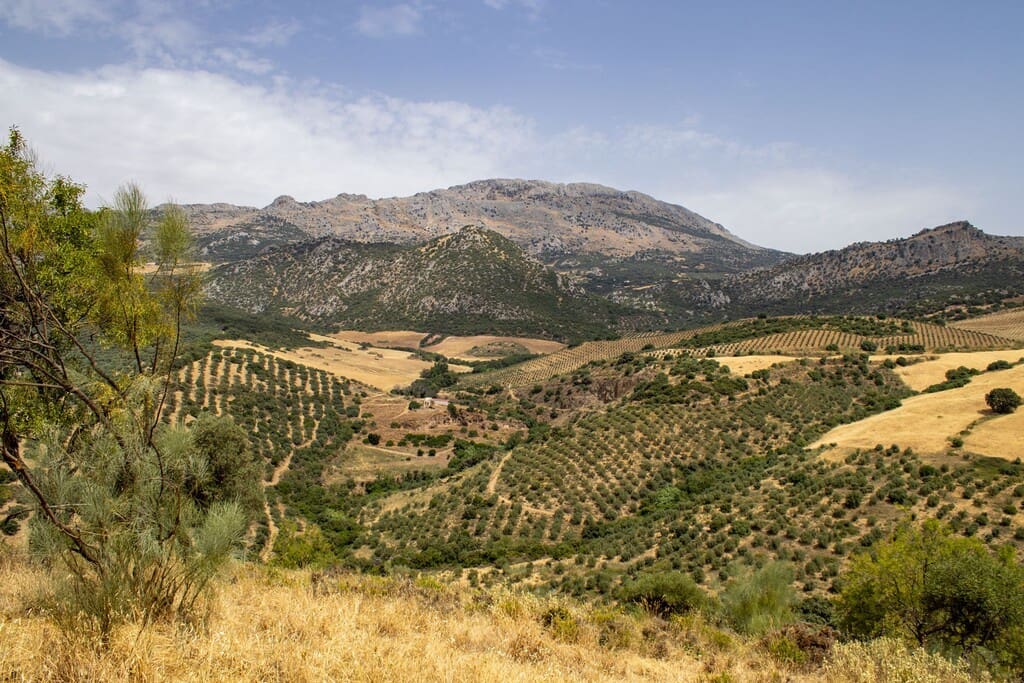 Building Plot for sale in Riogordo - € 245,000 (Ref: 9998146)
