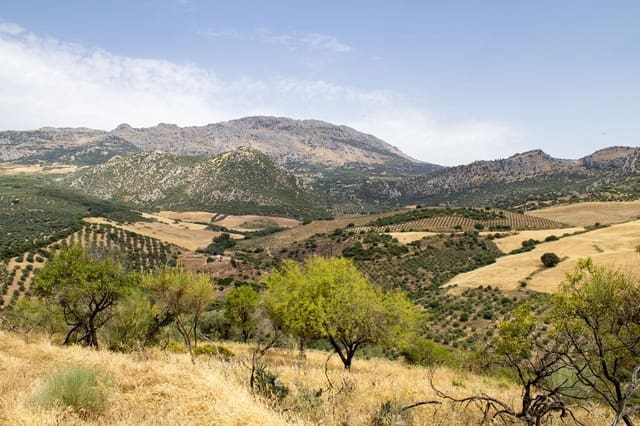 Building Plot for sale in Riogordo - € 245,000 (Ref: 9998146)