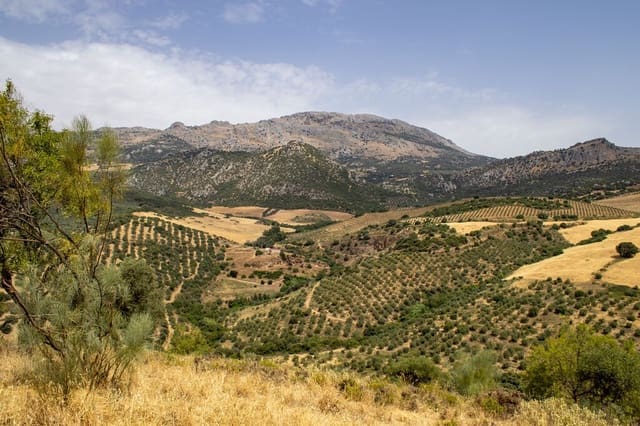 Building Plot for sale in Riogordo - € 245,000 (Ref: 9998146)