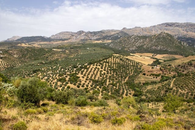Building Plot for sale in Riogordo - € 245,000 (Ref: 9998146)