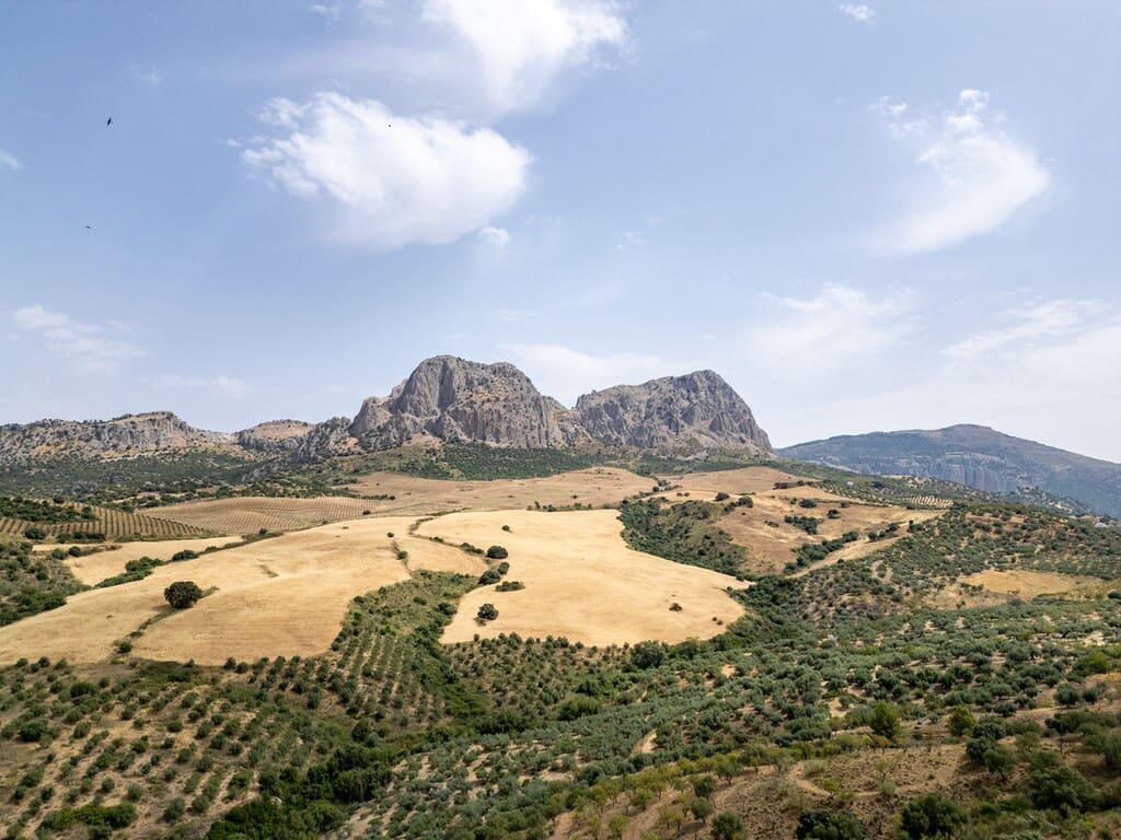 Building Plot for sale in Riogordo - € 245,000 (Ref: 9998146)