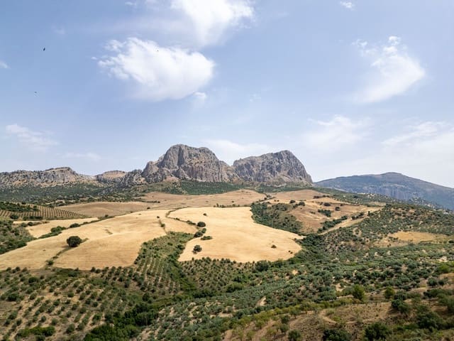 Building Plot for sale in Riogordo - € 245,000 (Ref: 9998146)