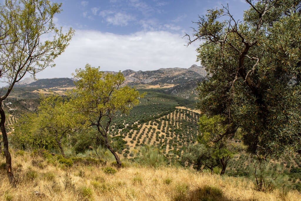 Building Plot for sale in Riogordo - € 245,000 (Ref: 9998146)