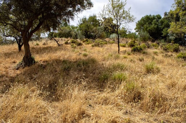 Building Plot for sale in Riogordo - € 245,000 (Ref: 9998146)