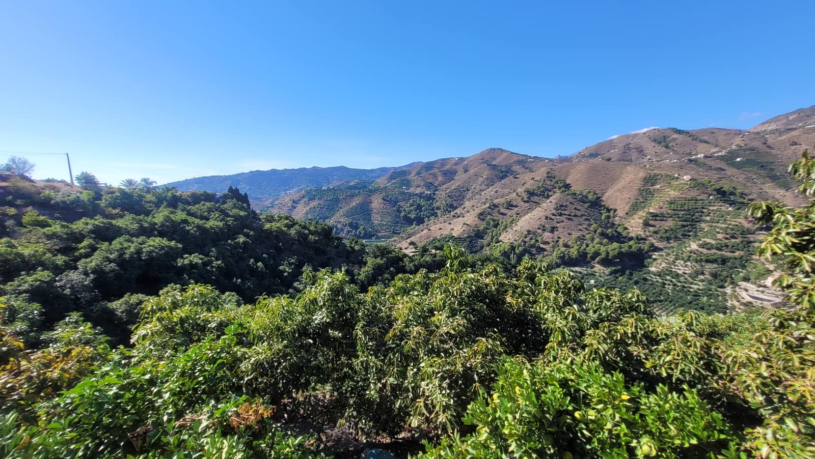 3 bedroom Finca/Country House for rent in Jete with pool garage - € 1,700 (Ref: 9357706)