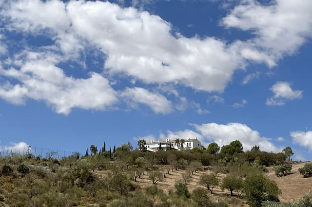 13 slaapkamer Hotel te koop in Villanueva de la Concepcion - € 2.300.000 (Ref: 9211658)