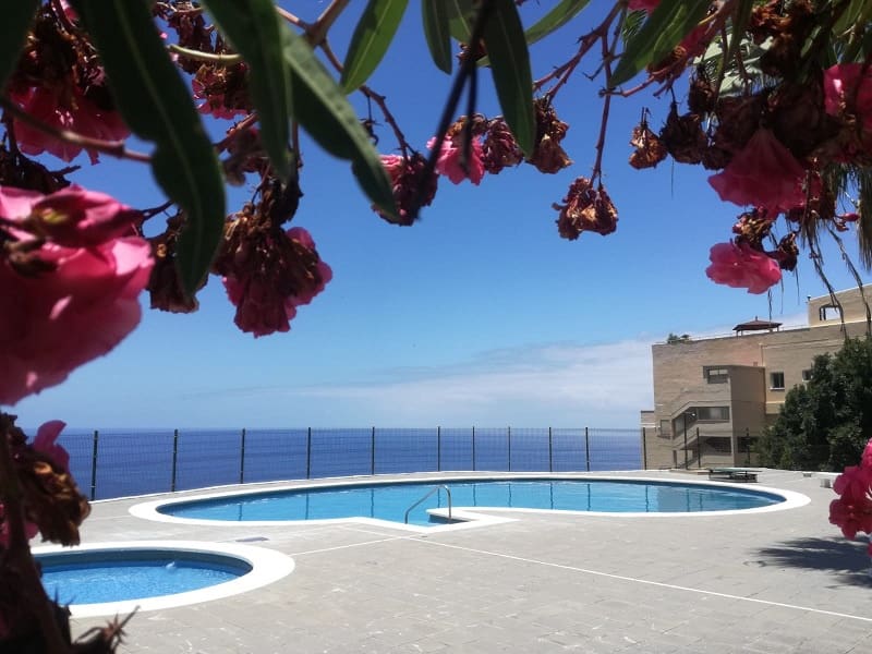 1 soveværelse Lejlighed til leje i La Matanza de Acentejo - € 850 (Ref: 9255631)
