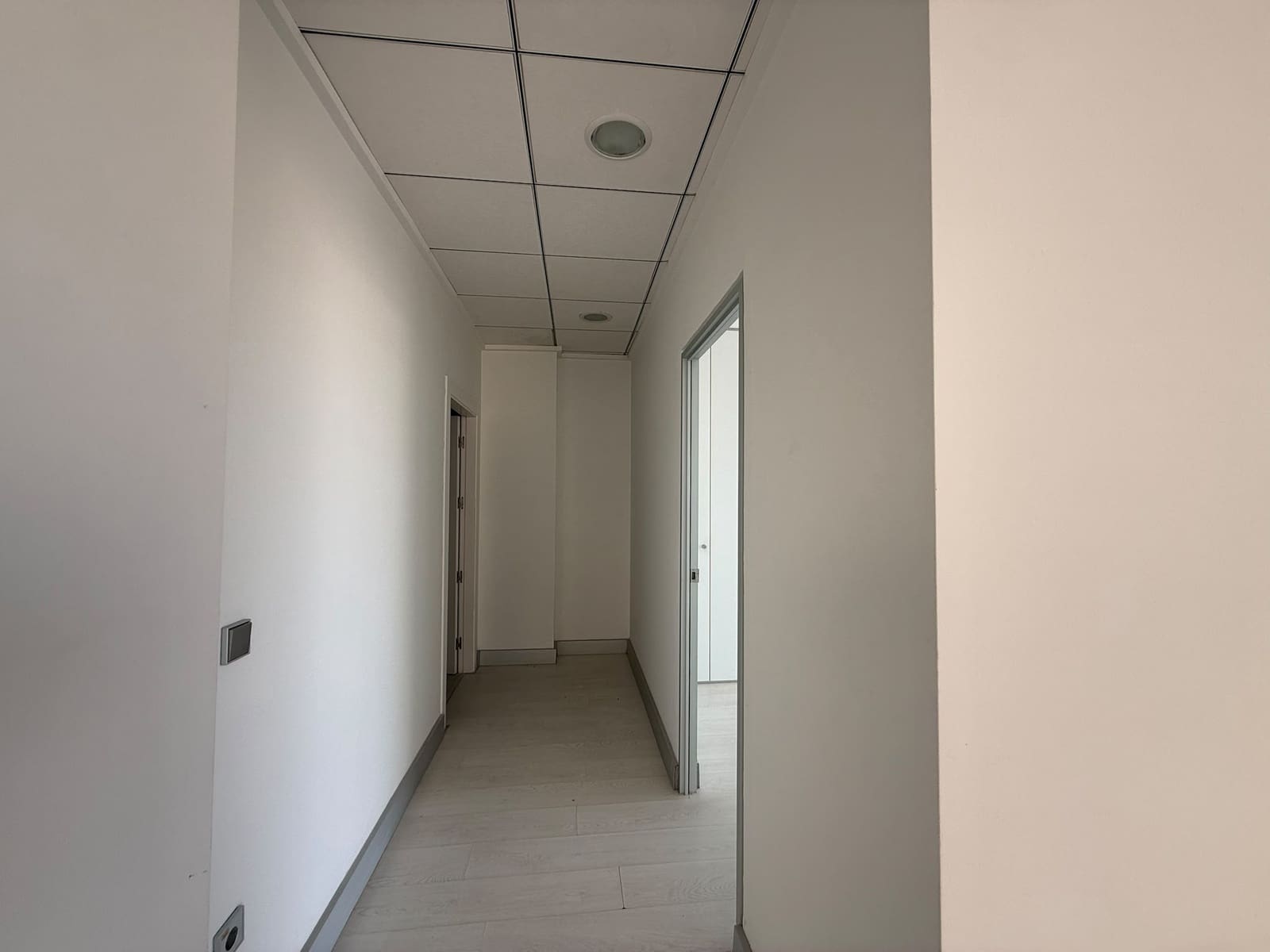 Comercial para arrendar em Albox - 350 € (Ref: 10032393)