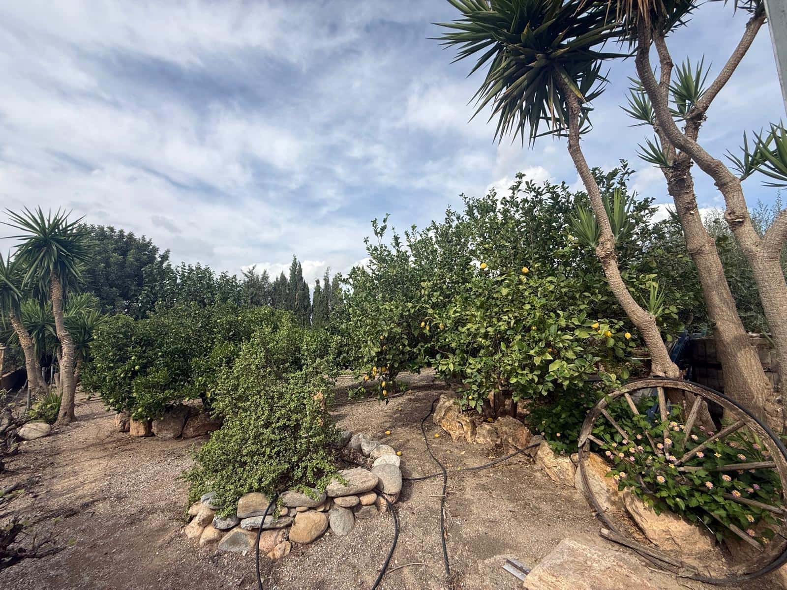 7 soverom Finca/Herregård til salgs i Albox med garasje - € 650 000 (Ref: 10155580)