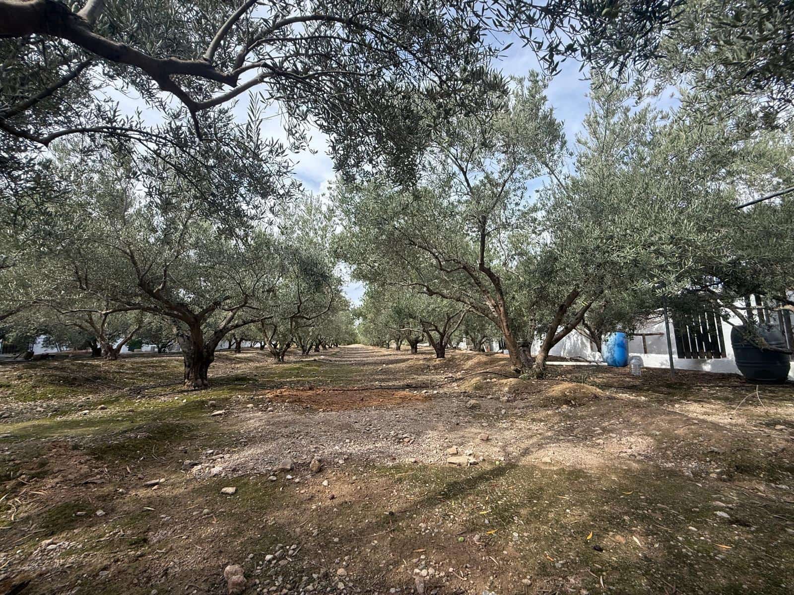 7 soverom Finca/Herregård til salgs i Albox med garasje - € 650 000 (Ref: 10155580)