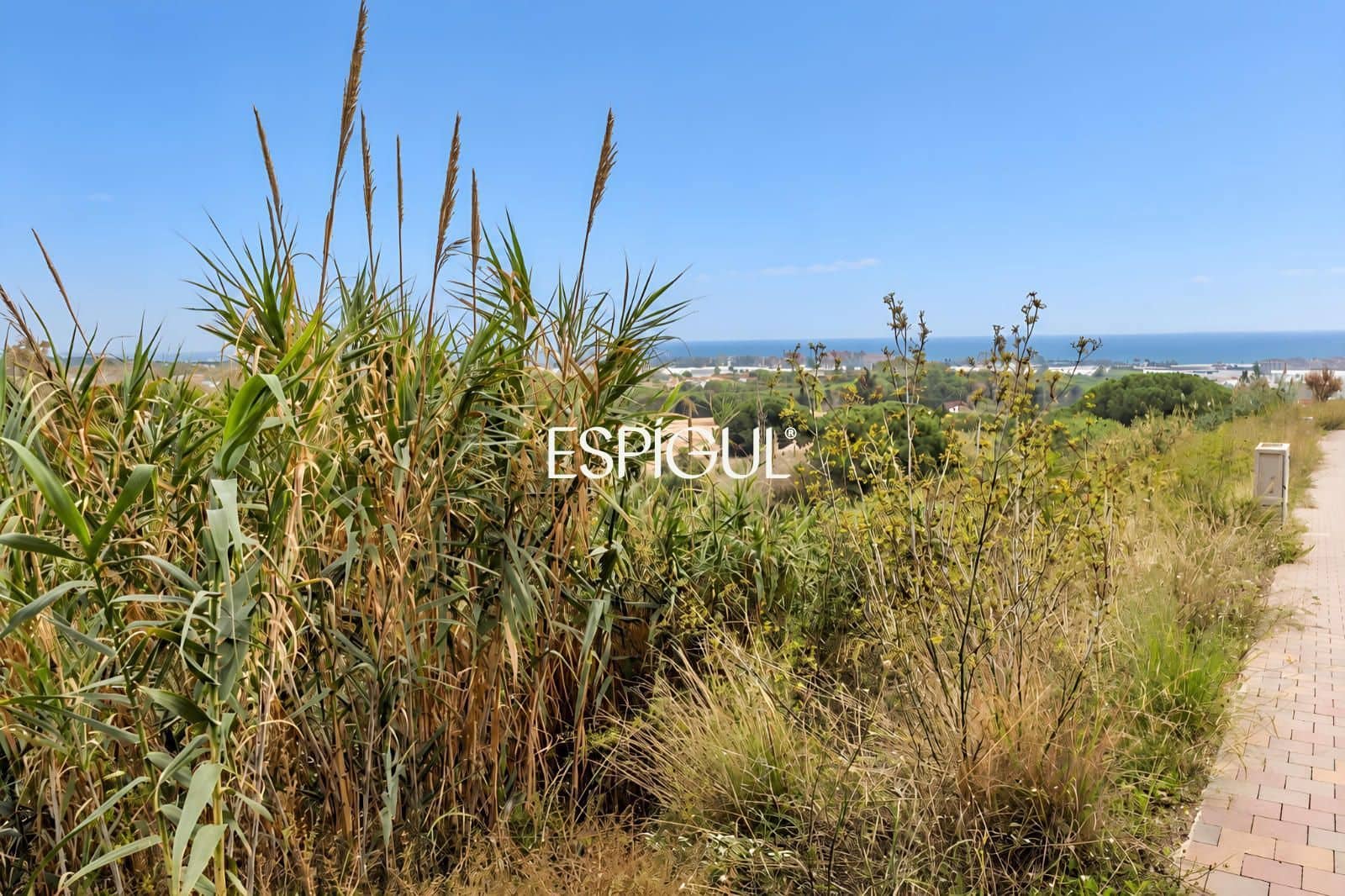 Bouwgrond te koop in Premia de Dalt - € 600.000 (Ref: 10172747)