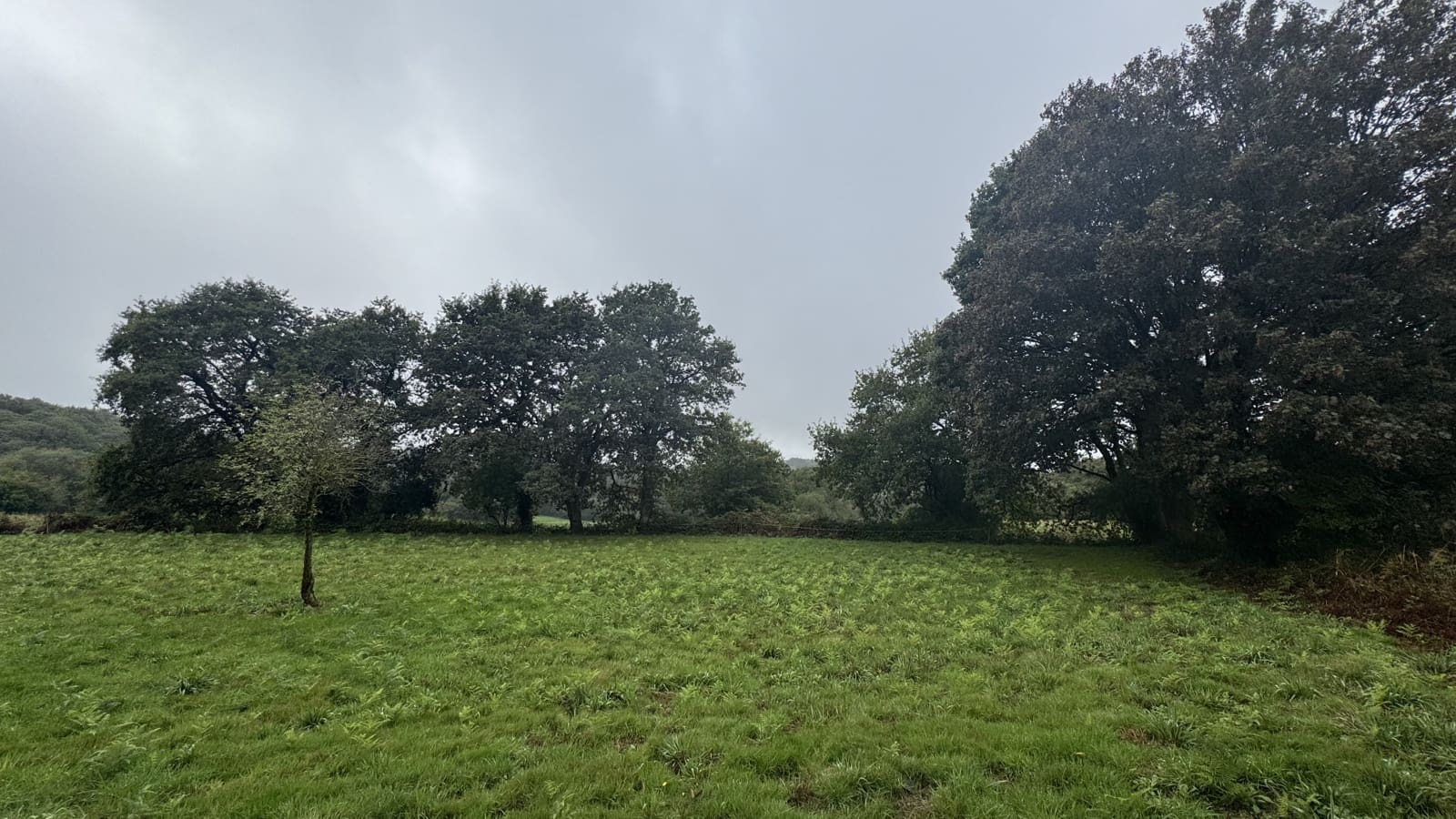 Ruin til salg i Curtis - € 65.000 (Ref: 9266547)