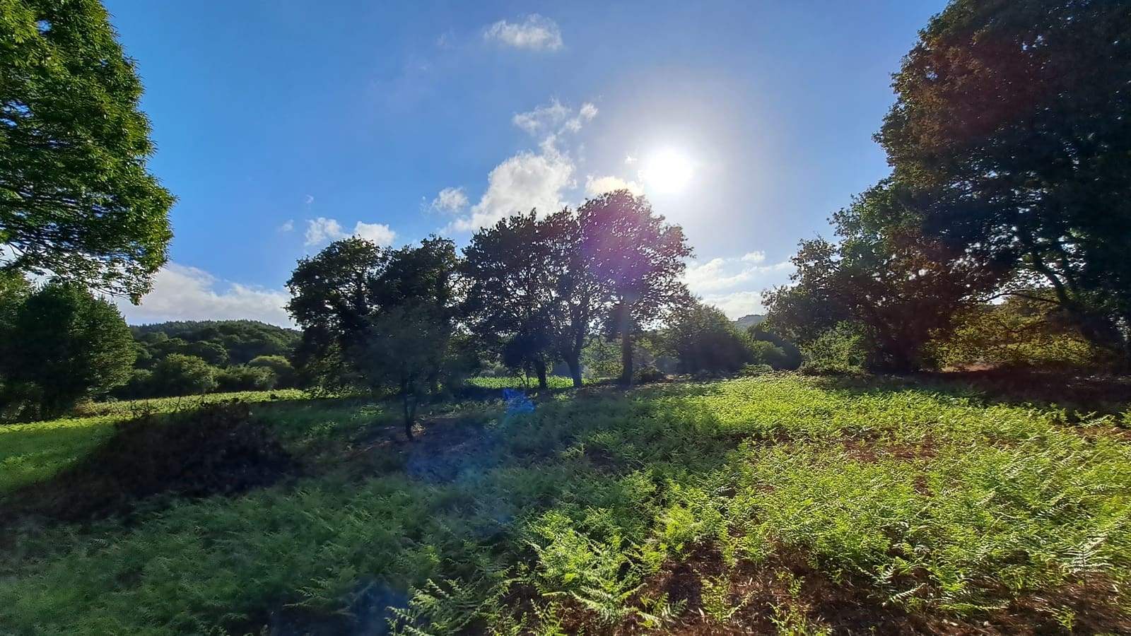 Ruin til salg i Curtis - € 65.000 (Ref: 9266547)