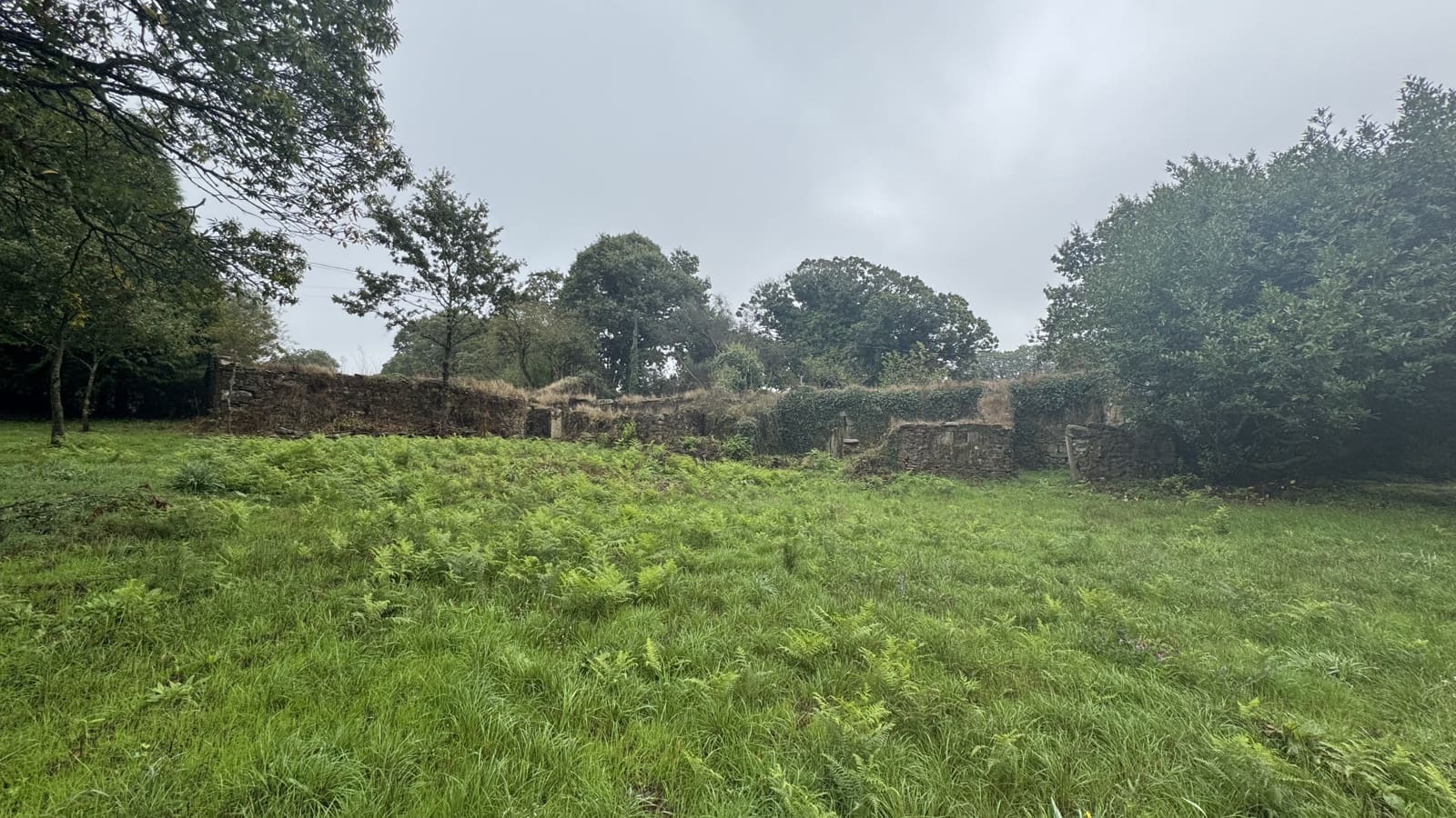 Ruin til salg i Curtis - € 65.000 (Ref: 9266547)