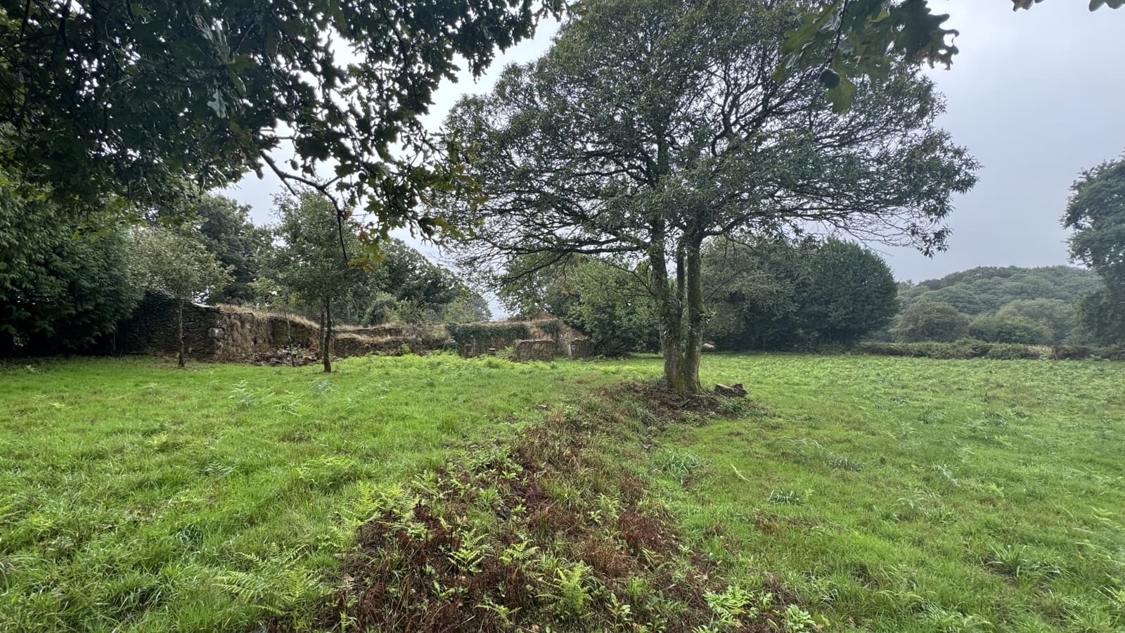 Ruin til salg i Curtis - € 65.000 (Ref: 9266547)