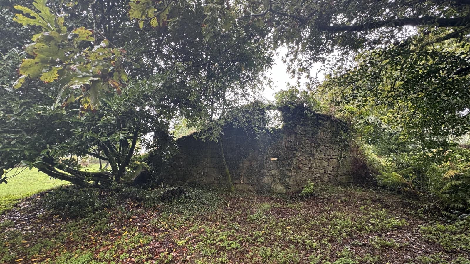 Ruin til salg i Curtis - € 65.000 (Ref: 9266547)