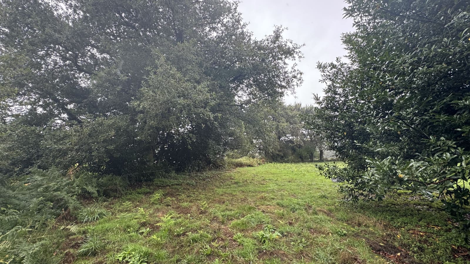 Ruin til salg i Curtis - € 65.000 (Ref: 9266547)