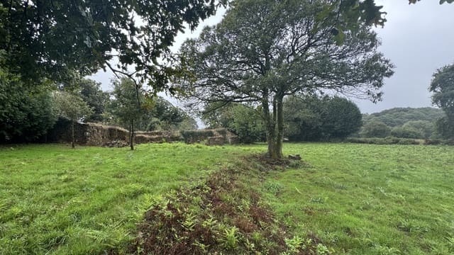 Raunio myytävänä paikassa Curtis - 65 000 € (Ref: 9266547)