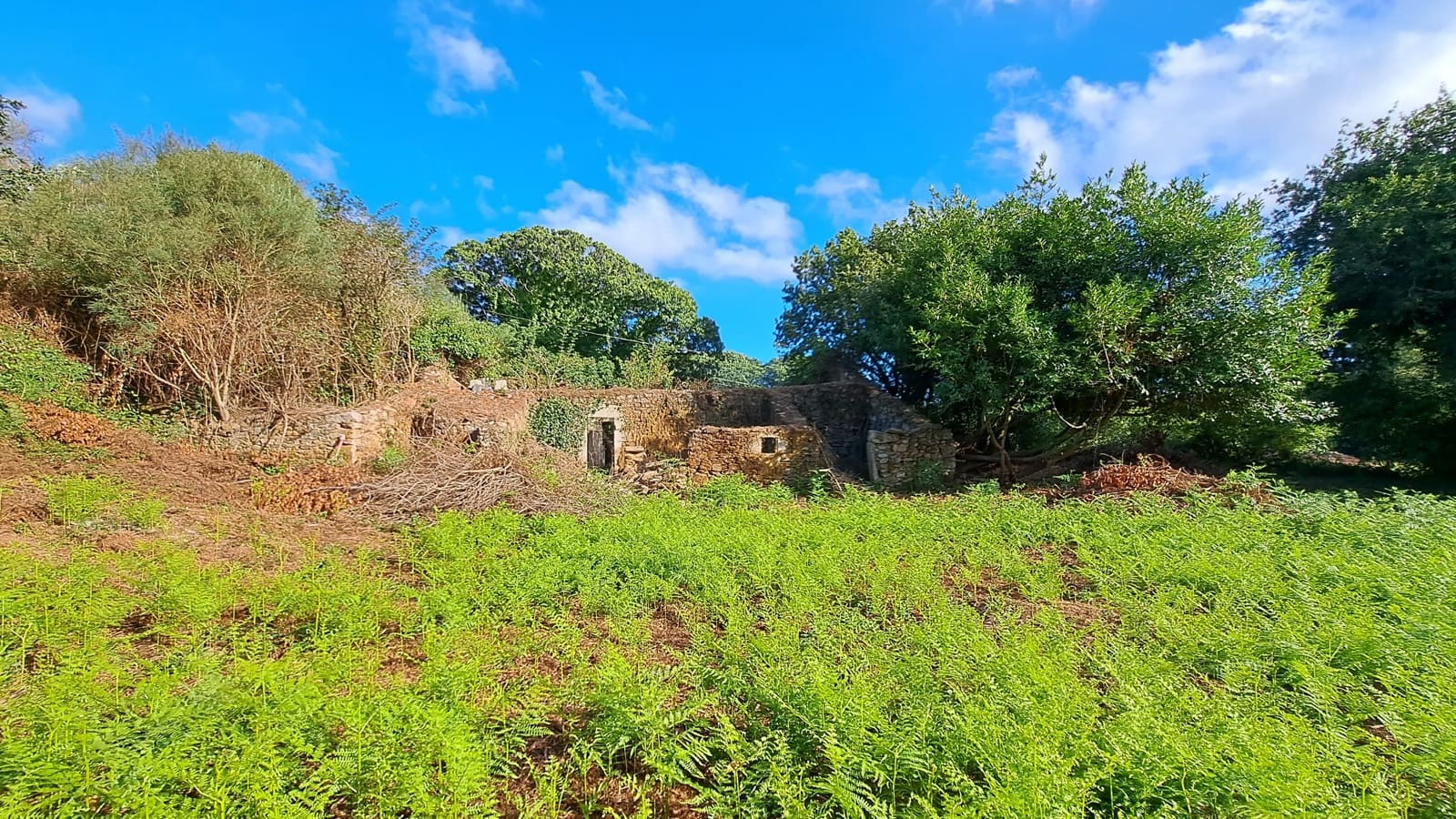 Ruin til salg i Curtis - € 65.000 (Ref: 9266547)