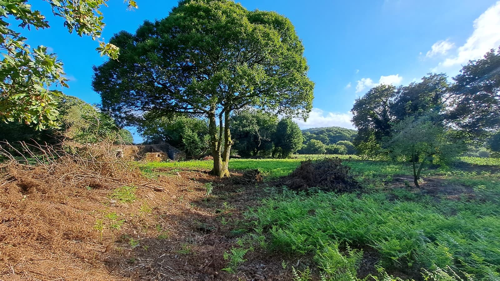 Ruin til salg i Curtis - € 65.000 (Ref: 9266547)