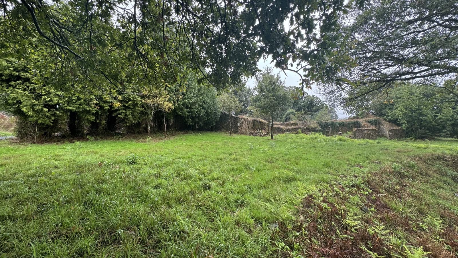 Ruin til salg i Curtis - € 65.000 (Ref: 9266547)