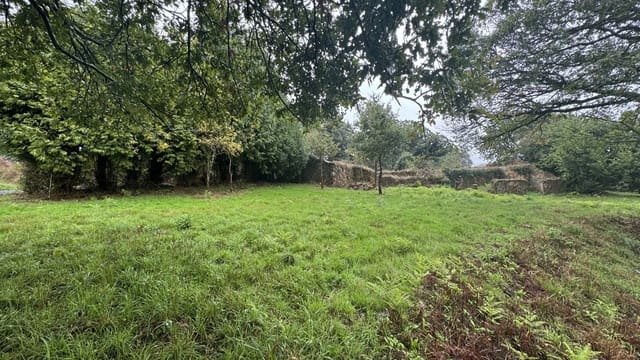 Raunio myytävänä paikassa Curtis - 65 000 € (Ref: 9266547)