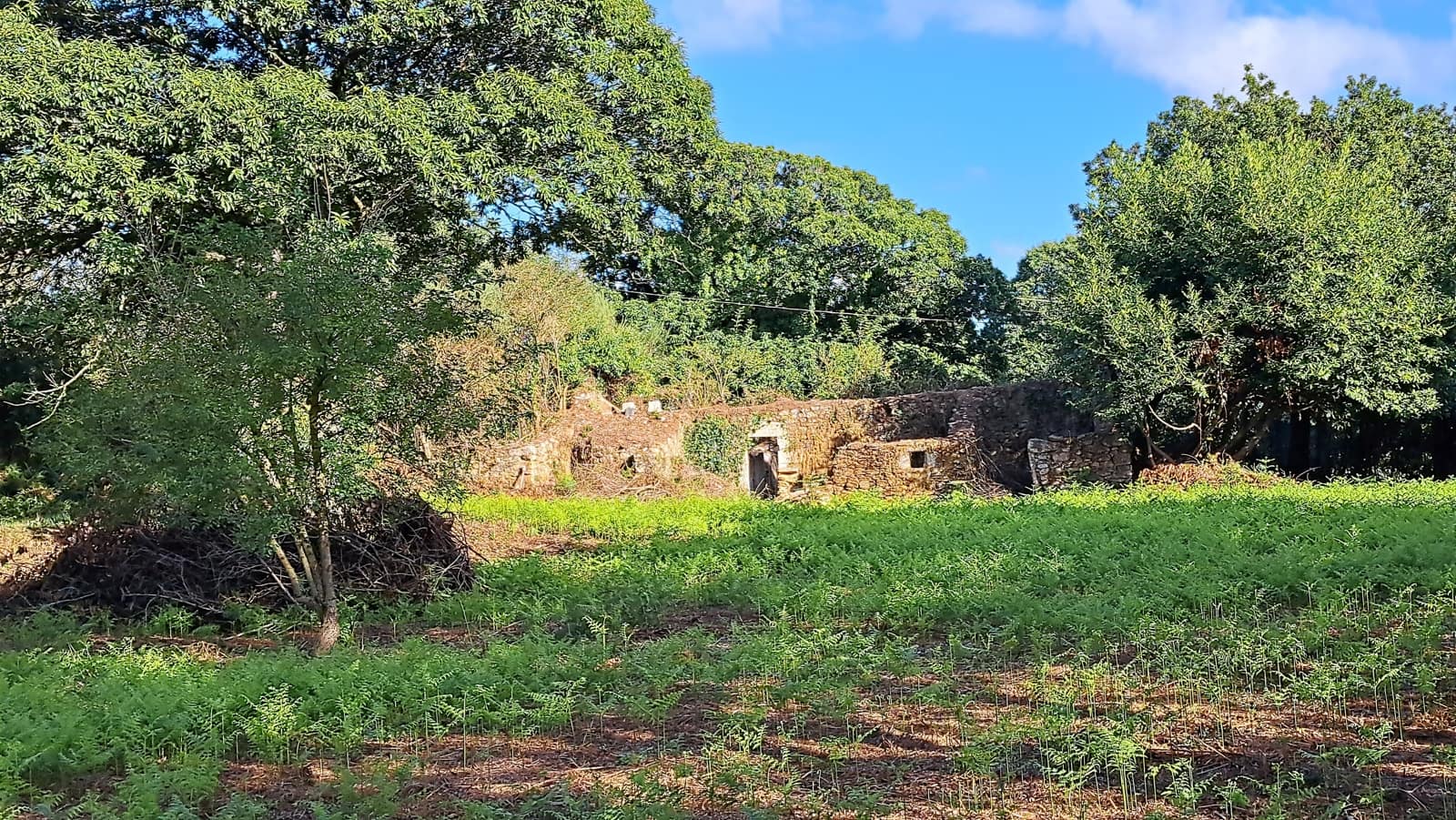 Ruin til salg i Curtis - € 65.000 (Ref: 9266547)