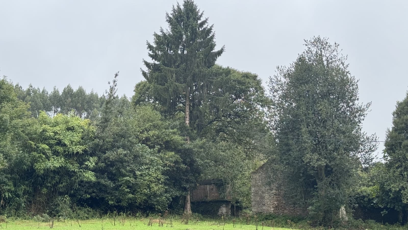 Ruin til salg i Sobrado - € 65.000 (Ref: 9267564)