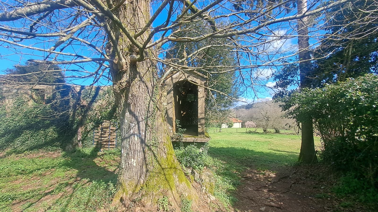 Ruin til salg i Sobrado - € 65.000 (Ref: 9267564)